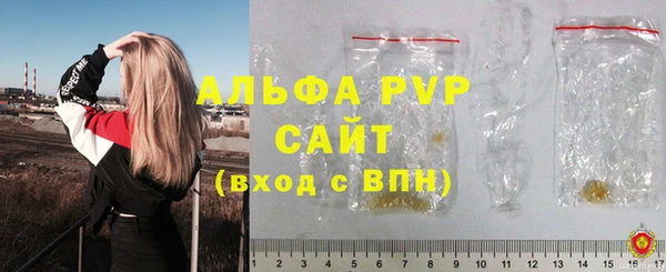 сатива Балахна