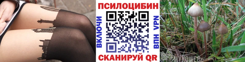Галлюциногенные грибы мухоморы  дарк нет телеграм  Подпорожье 